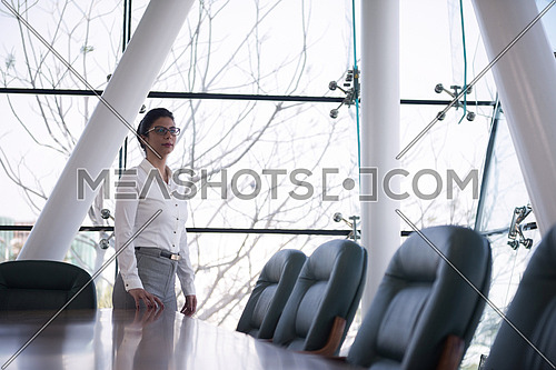 young businesswoman standing alone in modern conference room office