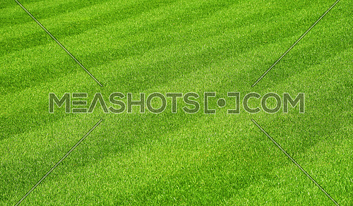Green fresh grass lawn with stripes after mow on football field, high angle view perspective