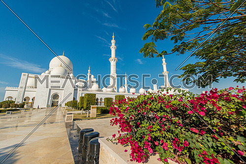 Sheikh Zayed Mosque in Abu Dhabi