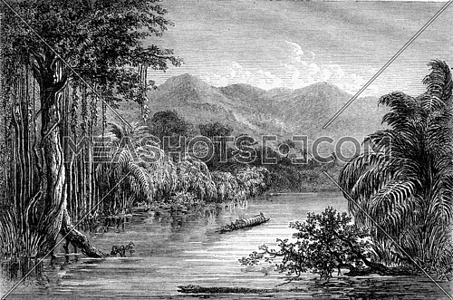The river of Polochie, department of Verapaz, Republic of Guatemala, Central America, vintage engraved illustration. Magasin Pittoresque 1867.