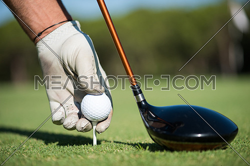 golf player placing ball on tee. beautiful sunrise on golf course landscape  in background
