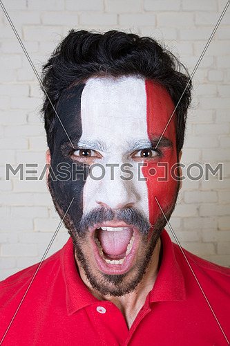 football fan face painted in Egyptian Flag colors