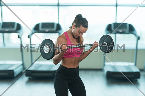 Young Fitness Woman Working Out Biceps In Fitness Center