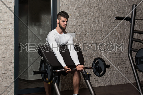 Young Handsome Man Exercise Biceps With Barbell