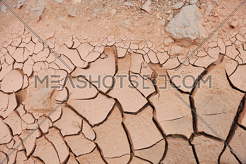 dry brown  ground background