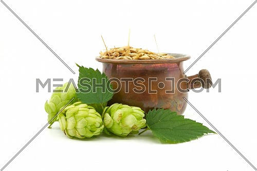 Beer or beverage still life with a green hops and barley spilling from a vintage copper pot over a white background
