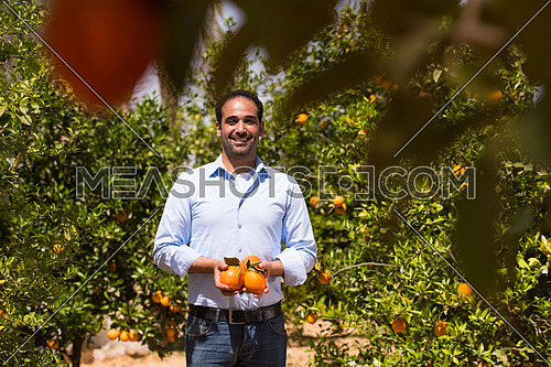 Portrait of a young middle eastern man on the farm of orange with a smile on his face on a sunny summer day