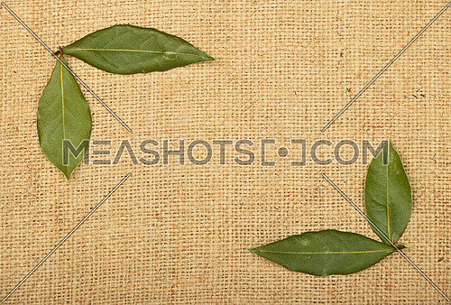 Frame of two groups of green bay laurel leaves in corners on brown burlap jute canvas background