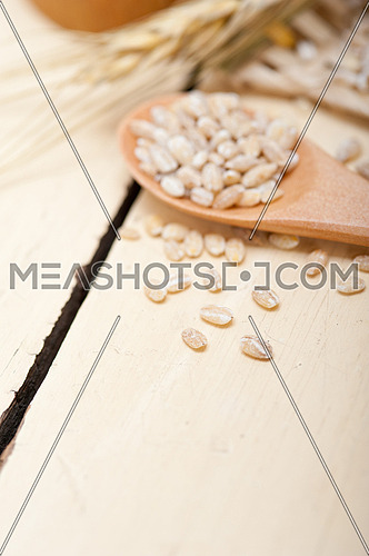 organic wheat grains  over rustic wood table macro closeup