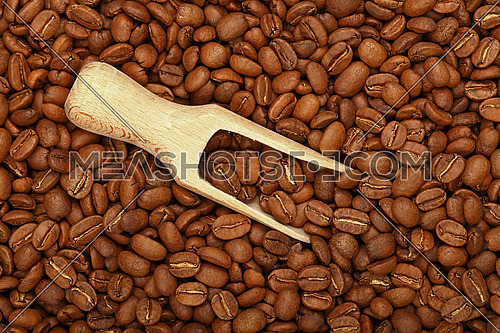 Close up wooden scoop with roasted coffee beans, elevated top view, directly above