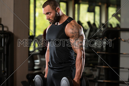 Big Man Standing Strong In The Gym And Wxercising Biceps With Dumbbells - Muscular Athletic Bodybuilder Fitness Model Exercise Bicep