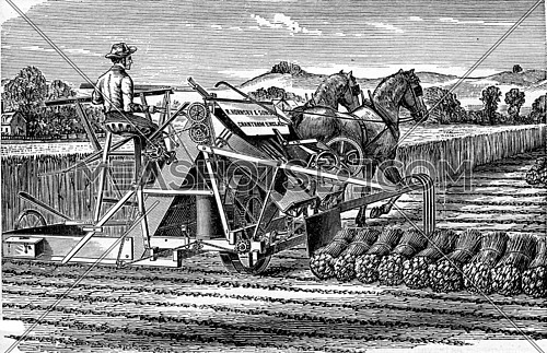 Reaper-binder MM. Hornsby and son, vintage engraved illustration. Industrial encyclopedia E.-O. Lami - 1875.