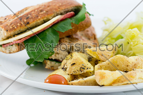 A plate with Sandwich, salad and potatoes