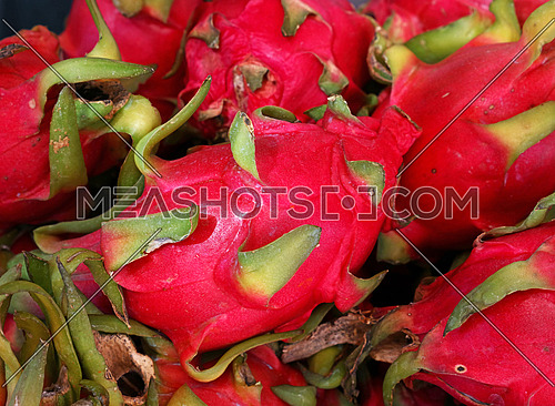 Close up several red ripe pitaya or white pitahaya dragon fruit on market stall, elevated high angle view