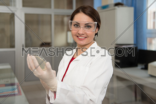 Young Woman Scientists Conducting Research In A Lab Environment