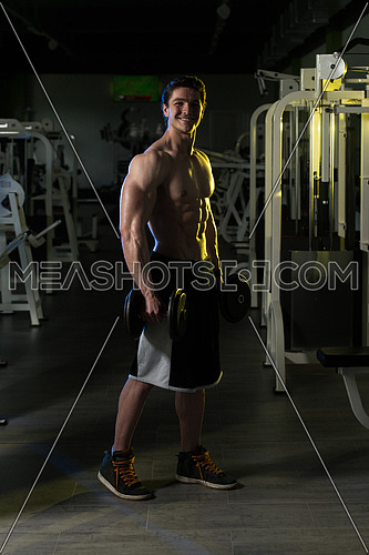 Young Man Working Out Biceps In A Dark Gym - Dumbbell Concentration Curls