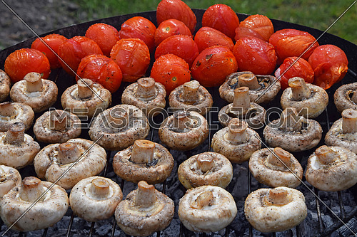 Vegetables in salt and spices being cooked on char grill, white champignons portobello mushrooms and red small tomatoes