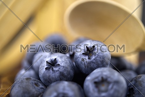 Macro composition of fresh blueberries in a selective focus view with copy space. Vaccinium corymbosum