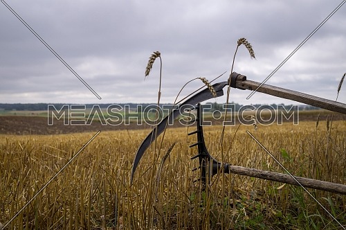 Rustic scythe and rake in a harvested field of wheat with stalk stubble in an agricultural landscape