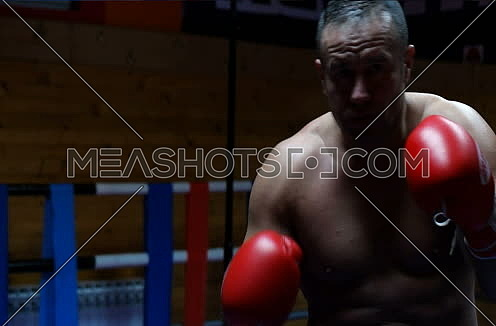 boxer posing and training in dark ring