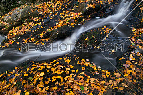 Beautiful river waterfall in autumn forest, a small waterfall part in Rhodope Mountains, Bulgaria