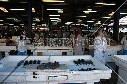 Fish Market In Dubai