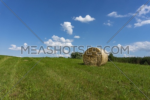Freshly harvested circular hay bale in a field or pasture in summer in a low angle view under a cloudy blue sky in an agricultural landscape