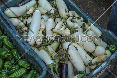A basket of white eggplant displayed in a local food market