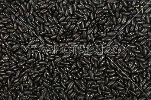 Black frigole kidney beans close up pattern background, elevated top view