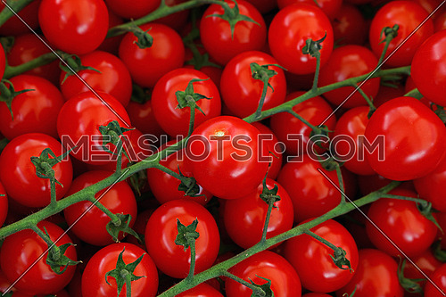 Close up fresh red cherry tomatoes on green branch at retail display of farmers market, high angle view