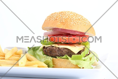 a photo for a hamburger sandwich and meal including french fries