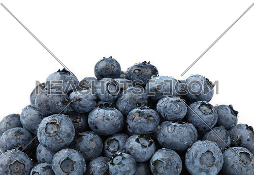 Heap of fresh washed blueberry berries wet with water drops isolated on white background, close up, low angle view