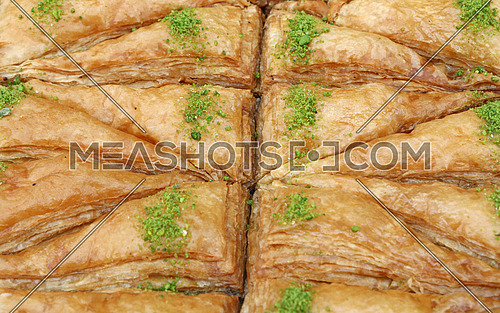 Baklava, traditional oriental sweet pastry cookies with pistachio in retail market display, close up, high angle view