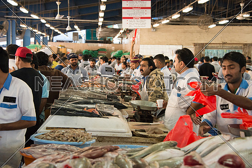 Fish Market In Dubai