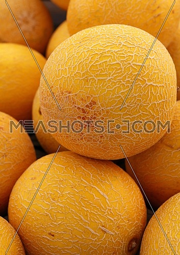 Close up whole fresh ripe summer yellow cantaloupe melons on retail display of farmers market, high angle view