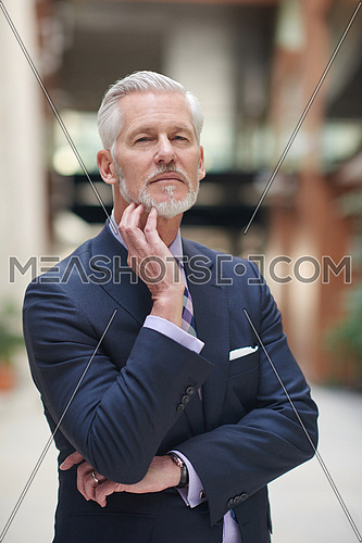 portrait of senior business man with grey beard and hair alone i modern office indoors