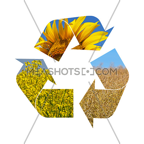 Illustration recycling symbol of agriculture crop, sunflower, soya, rapeseed, isolated on white background