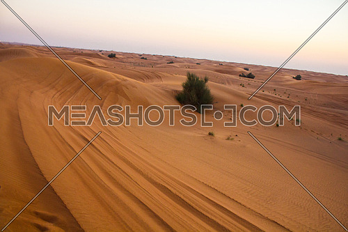 desert landscape and dunes