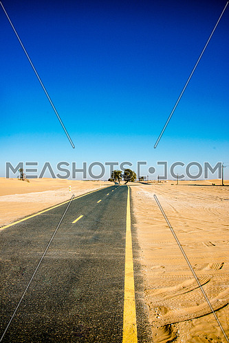 A cycling Track in the middle of the desert