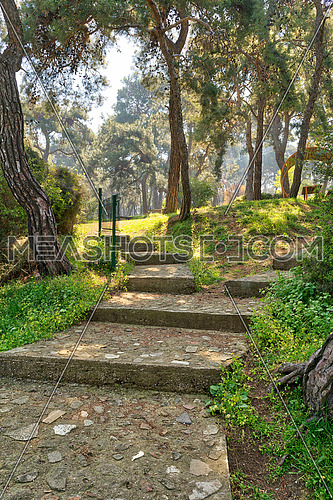 Ascending stone stairs surrounded by huge green tree and grass at a public natural park in spring time, Buyukada Island (Princes island), Istanbul, Turkey