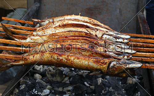 Close up cooking several bonito mackerel fishes on wooden skewer grill, high angle view