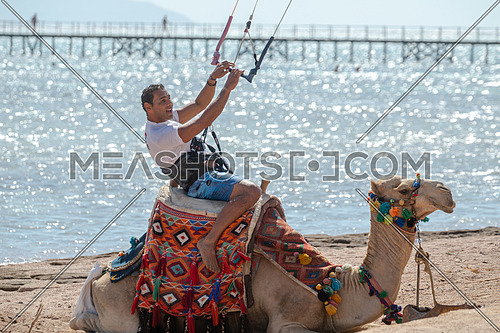 Kite Surfer riding a camel wearing the surfing set by Red Sea at day.