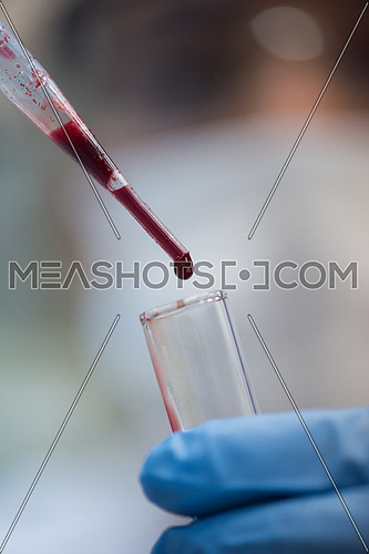 Young middle eastern woman testing blood samples in modern laboratories