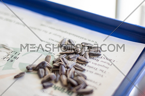 Sunflower seeds on a paper and blue tray
