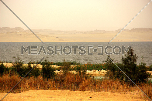 a photo for a lake in Fayoum City south of Cairo