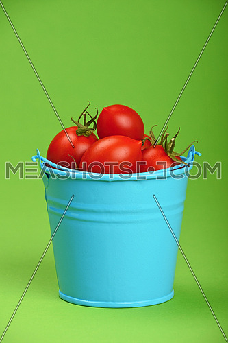Small disproportional blue bucket of red cherry tomatoes over green background, close up