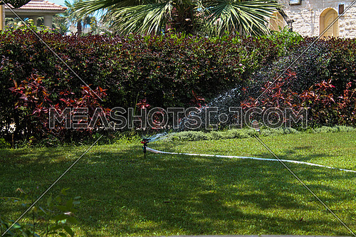 a photo of the irrigation of a private garden