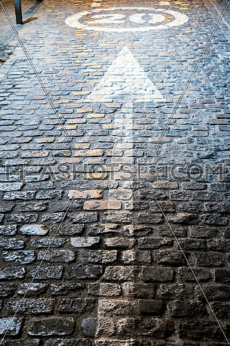 Arrow planned in the cobbled asphalt indicating the direction and velocidada to 20 kilometers per hour, conceptual image