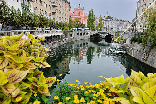 city  Ljubljana, capital of Slovenia with old bridge flower and river