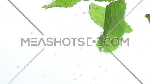 Close up several fresh green mint leaves floating in clear transparent water with air bubbles, low angle side view, slow motion